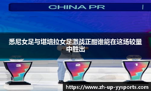 yy易游体育投注